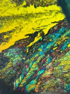 Observation de cristaux au microscope polarisant (1ère enseignement scientifique)